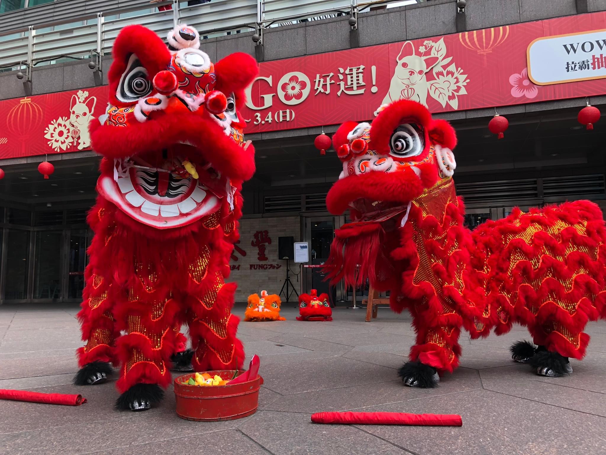祥獅獻瑞演出照